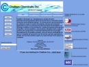 CHATTEM CHEMICALS, INC.