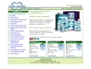 Website Snapshot of Chemi-Coatings, Inc.