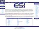 Website Snapshot of Chemsolutions Inc