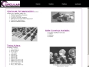 Website Snapshot of Circular Technologies