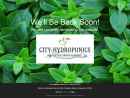 Website Snapshot of CITY-HYDROPONICS LLC