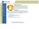 Website Snapshot of Digital Learning Systems, Inc.