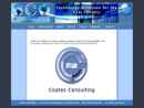 Website Snapshot of COATES CONSULTING