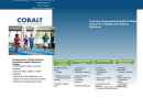 Website Snapshot of Cobalt Technical Solutions Incorporated