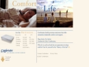 Website Snapshot of Comfortaire Corp.