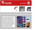Website Snapshot of Concordia Manufacturing, LLC