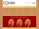 Website Snapshot of Condar Co.