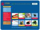 Website Snapshot of Corporate Diversity Solutions