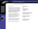 Website Snapshot of CRITICAL TECHNOLOGIES INC
