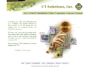 Website Snapshot of CT Solutions, Inc.