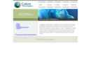 Website Snapshot of CULTURE TECHNOLOGIES INC