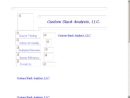 Website Snapshot of Custom Stack Analysis, LLC.
