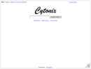 Website Snapshot of CYTONIX CORPORATION