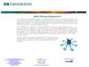 Website Snapshot of Datamann Inc