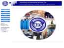 Website Snapshot of Diversified Environmental Services, Inc.