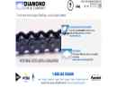 Website Snapshot of Diamond Chain Co.