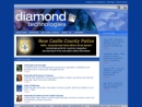 Website Snapshot of DIAMOND TECHNOLOGIES INC