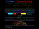 Website Snapshot of DiNA Consulting