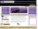 Website Snapshot of Directional System.Com