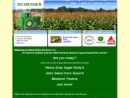 Website Snapshot of Distel Grain Systems