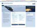 Website Snapshot of Diversified Search Odgers Berndtson