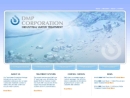 Website Snapshot of D M P Corp.