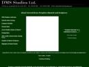 Website Snapshot of D M S Studios Ltd.