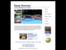 Website Snapshot of Downes Swimming Pool Co., Inc.