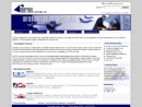 Website Snapshot of DYNAMIC PROCESS SOLUTIONS, INC