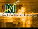Website Snapshot of D S & O RURAL ELECTRIC COOPERATIVE ASSOC., INC.