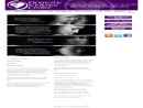 Website Snapshot of DOMESTIC VIOLENCE CENTER OF HOWARD COUNTY INC