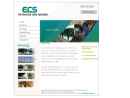 Website Snapshot of ELECTRICAL CABLE SPECIALIST INC