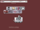 Website Snapshot of Efabex, Inc.