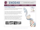 Website Snapshot of ENODAR BIOMETRIC INC