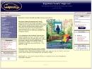 Website Snapshot of Eugenia's Country Flags, LLC