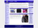 Website Snapshot of Exotic Silks Inc