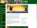 Website Snapshot of Feenan Financial Group