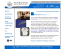 Website Snapshot of FERGUSON PERFORATING WIRE CO