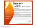 Website Snapshot of Flame Gard, Inc.