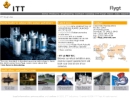 Website Snapshot of ITT Flygt LLC
