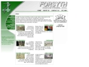 Website Snapshot of Forsyth Industries Co.