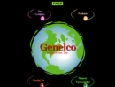 Website Snapshot of GENELCO INDUSTRIES INC