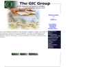 Website Snapshot of GIC TRADE, INC.