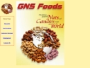 Website Snapshot of G N S Foods, Inc.