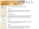 Website Snapshot of Golden Sun Jewelry Mfg.