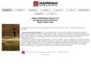 Website Snapshot of HAMMAN MARKETING ASSOCIATES
