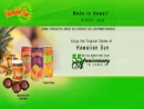 Website Snapshot of Hawaiian Sun Products, Inc.