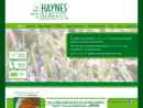 Website Snapshot of HAYNES BENEFITS PC