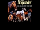 CALIFORNIA HORSE TRADER INC