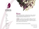 Website Snapshot of Hydrosil International Ltd.